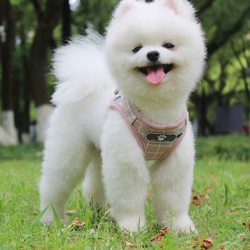 Dog and Cat Harness Reflective Puppy Kitten Collars Breathable Mesh Vest Adjustable Small Dog Cat Vest Harnesses Leash Pug Pet Supplies