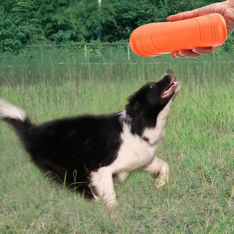 New Dog Pet round Toy Bite Free Outdoor Train Dog Sport Dog Sports Throwing Roft Toy Rondom Colors
