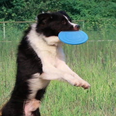 New Dog Pet round Toy Bite Free Outdoor Train Dog Sport Dog Sports Throwing Roft Toy Rondom Colors