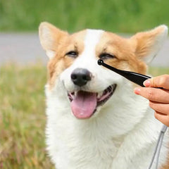 Pets Eye Comb Dogs Tear Stain Remover Brush Pet Eye Cleaning Brush Cleaning Accessories Removing Crust Mucus for Small Cat Dog