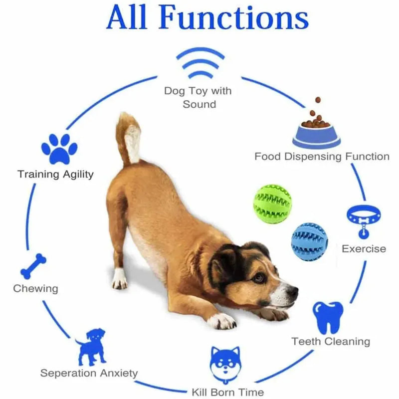 Dog Toy Ball Interactive Elasticity Puppy Chew Toy Tooth Cleaning Rubber Food Interactive Bouncy Ball Pet Stuff Accessories