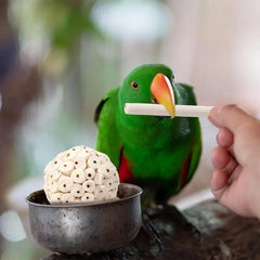 Parrot Chewing Toy Ball Chew Shred Foraging Bird Cage Accessories for Parakeet Parrotlet Lovebird Budgies Conure Cockatiel