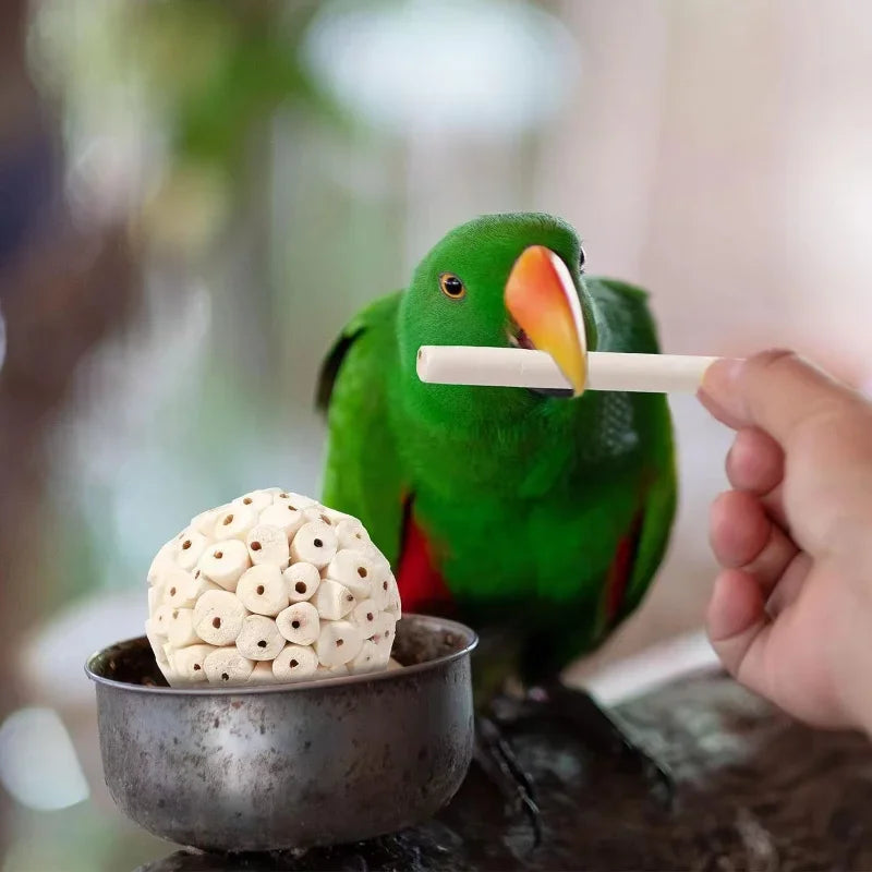 Parrot Chewing Toy Ball Chew Shred Foraging Bird Cage Accessories for Parakeet Parrotlet Lovebird Budgies Conure Cockatiel