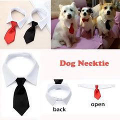 Pet Dog Cat Formal Necktie Tuxedo Bow Tie Black and Red Collar for Dog & Cat Pet Accessories for Wedding Holiday and Party Gift